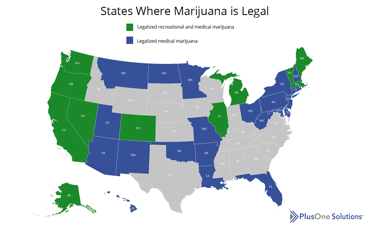 Your Contractor Drug Testing Policy And Marijuana Legalization