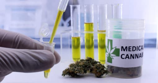 Your Contractor Drug Testing Policy And Marijuana Legalization