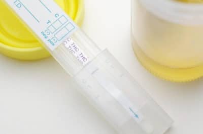 Drug Testing Policy for Independent Contractors
