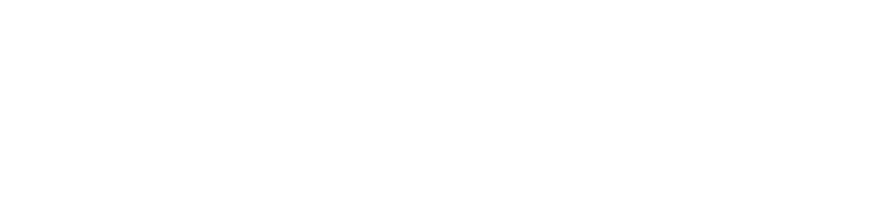 footer-logo